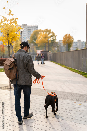 Back view of the man with backpack looking at his dog while walking with him through the street and enjoying a good sunny weather. Walking and taking care of the pet concept