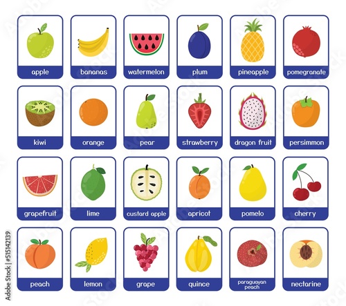 Fruits flashcards bundle. Big collection with different fruits. Cards for kids in cartoon style. Learning material. Vector illustration photo