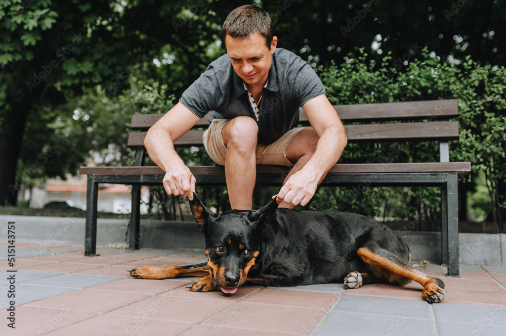 A man sits on a bench in the park, plays and caresses his beloved Rottweiler dog. Photograph of man and animal.