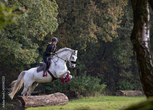 Junge Frau auf Schimmel mit Steigbügeln in pink springt mit Helm und Schutzweste beim Geländetraining auf Wiese am Waldrand über einen Baumstamm
