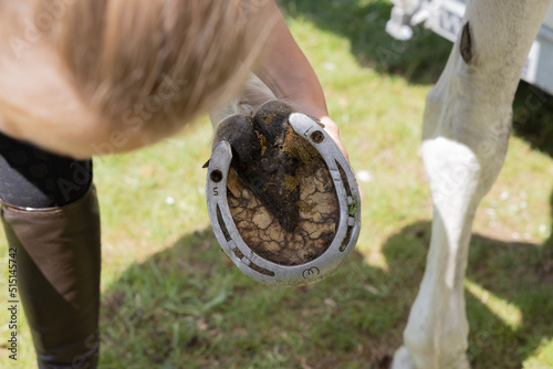 Der Huf eines Pferdes mit Hufeisen mit Stollenlöchern ohne Stollen 