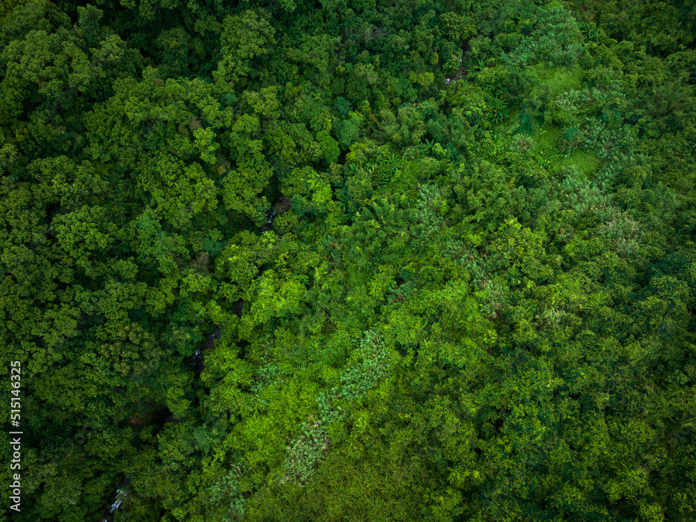 Aerial view of beautiful tropical forest mountain landscape