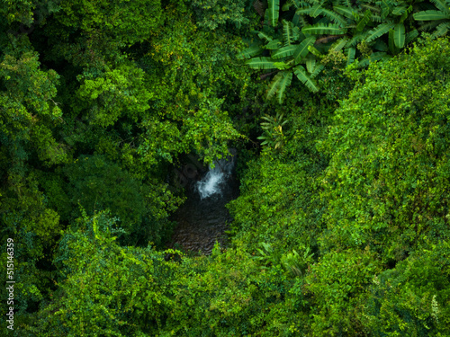 Photography Aerial view of beautiful tropical forest mountain landscape