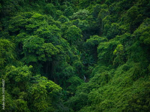 Aerial view of beautiful tropical forest mountain landscape