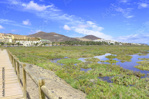 Saladar de Jandía, Fuerteventura, España