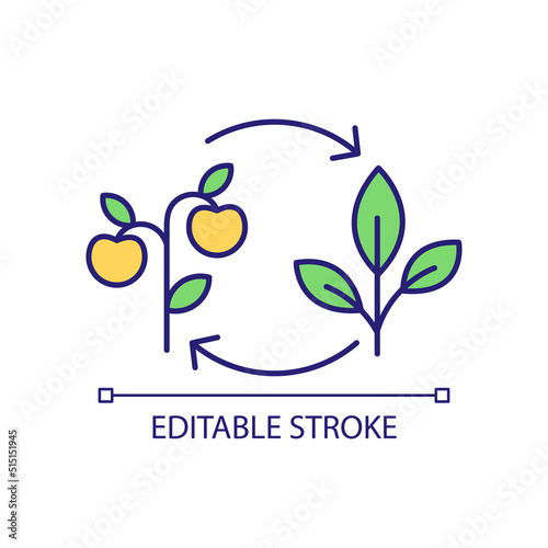 Succession planting RGB color icon. Ripe tomatoes. Agriculture and farming. Horticultural practice. Isolated vector illustration. Simple filled line drawing. Editable stroke. Arial font used