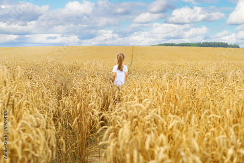 Adorable toddler girl is on golden wheat field at sunset. Kid walking in between golden ears of rye. © ty