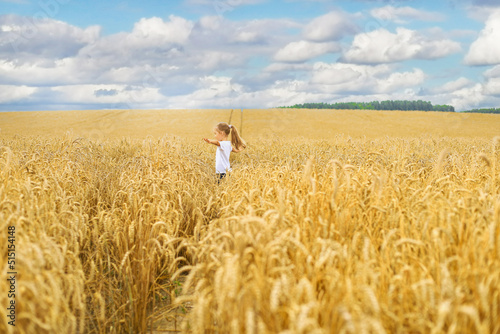 Adorable toddler girl is on golden wheat field at sunset. Kid walking in between golden ears of rye. © ty