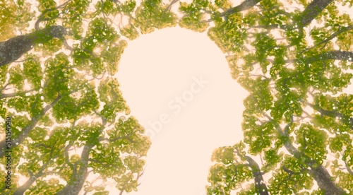 Fotografie Concept idea art of nature, life, ecology, freedom, mental health and environment