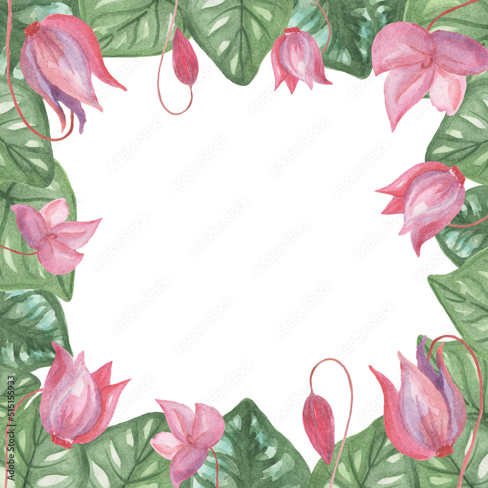 Frame of delicate pink cyclamen flowers and leaves