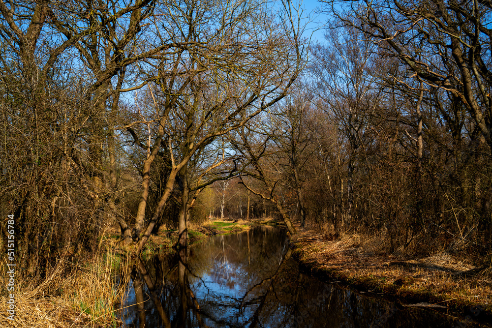 Channel in the marshlands on a sunny winter day
Channel in the marshlands on a sunny winter day
