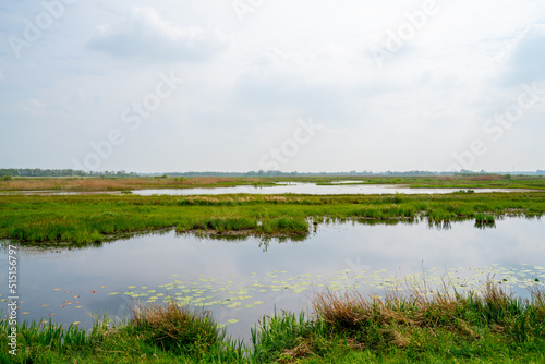 Channel in the marshlands on a sunny winter day
