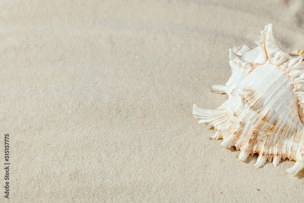 Background of light beach sand with space for text. Background of light beach sand with space for text.