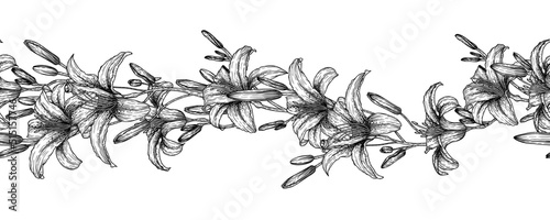 Seamless horizontal vector pattern waving tiger lily flowers in engraving style