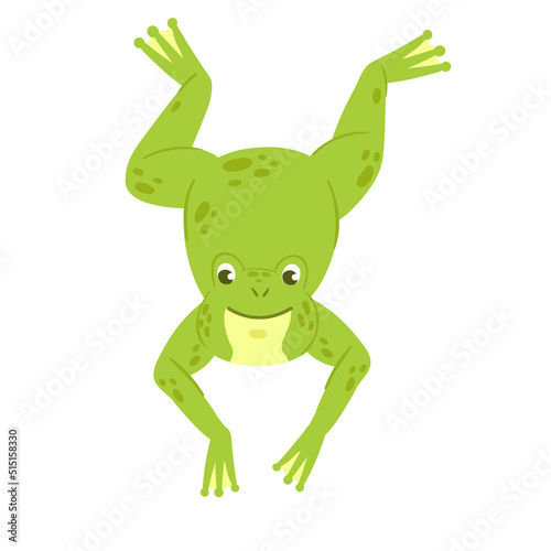 Jumping cute green frog. Lake water fauna, amphibian life vector illustration