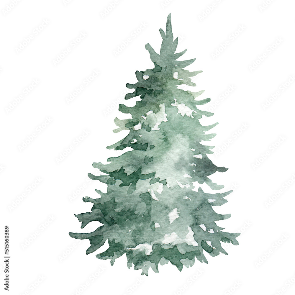 Watercolor fir tree, hand painted christmas tree Watercolor fir tree, hand painted christmas tree