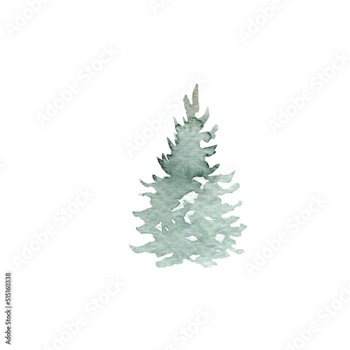 Watercolor fir tree, hand painted christmas tree © Anna