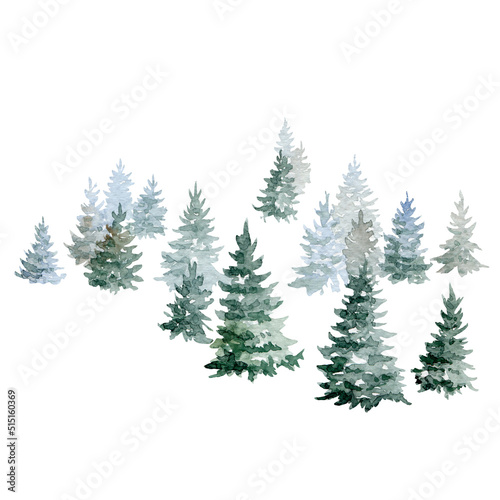 Watercolor fir trees, hand painted