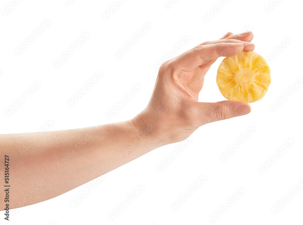 dry pineapple in hand path isolated on white dry pineapple in hand path isolated on white