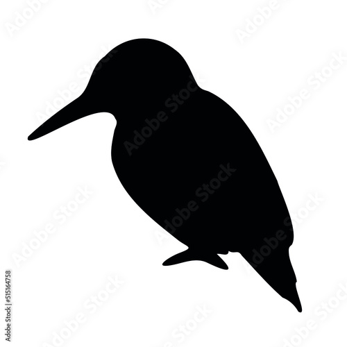 Vector hand drawn kingfisher silhouette isolated on white background