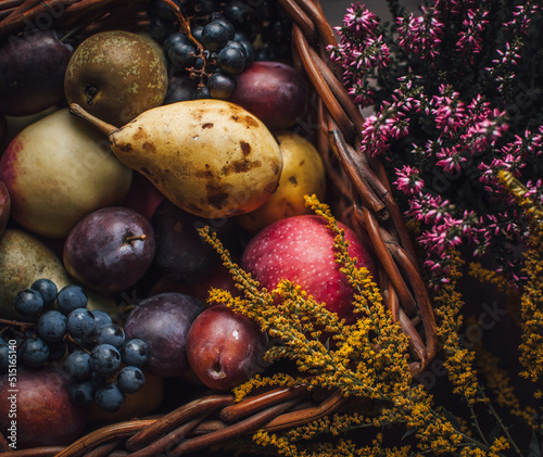 Still life photography dark grapes pear plums and apple in brown basket with yellow and purple flowers