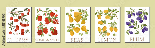 Set of fruit market elegant art posters and banners with hand drawn vector fruits. Summer fruit orchard posters and cards