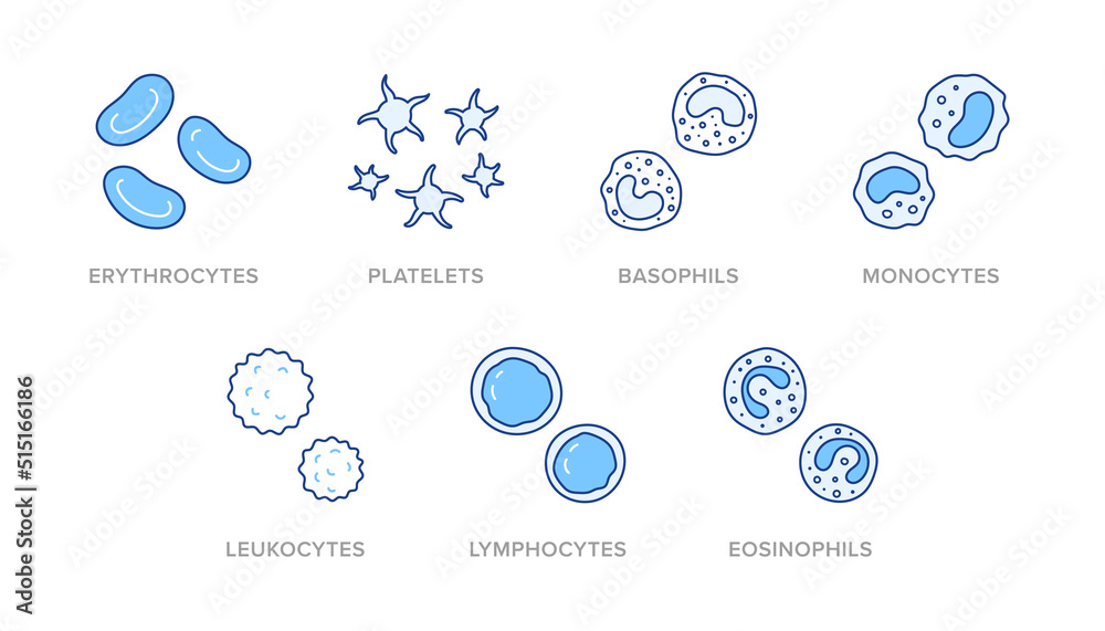 Blood cells doodle illustration including icons - erythrocyte, platelet ...