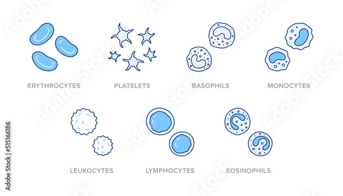 Blood cells doodle illustration including icons - erythrocyte, platelet, basophil, monocyte, leukocyte, lymphocyte, eosinophil. Thin line art about hematology. Blue Color, Editable Stroke
