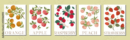Set of fruit market elegant art posters and banners with hand drawn vector fruits. Summer fruit orchard posters and cards