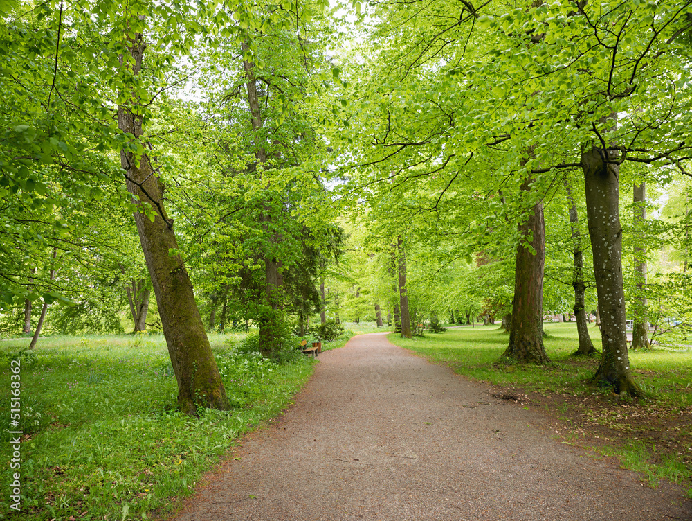 green park landscape with walkway, spa garden Bad Aibling, upper bavaria green park landscape with walkway, spa garden Bad Aibling, upper bavaria