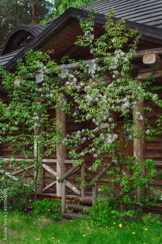 Wooden cosy forest cabin surrounded with blooming flowers