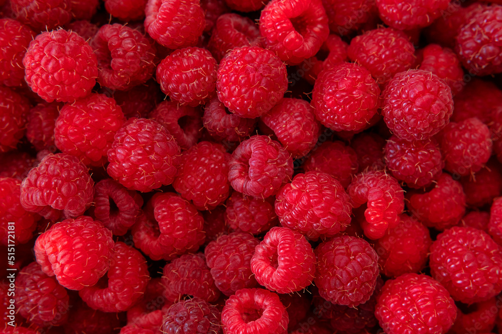 Ripe juicy raspberries close-up. Background from raspberries. Summer delicious sweet berry. Texture of raspberry macro photo. Healthy organic food, vitamins. Raspberry harvest Ripe juicy raspberries close-up. Background from raspberries. Summer delicious sweet berry. Texture of raspberry macro photo. Healthy organic food, vitamins. Raspberry harvest