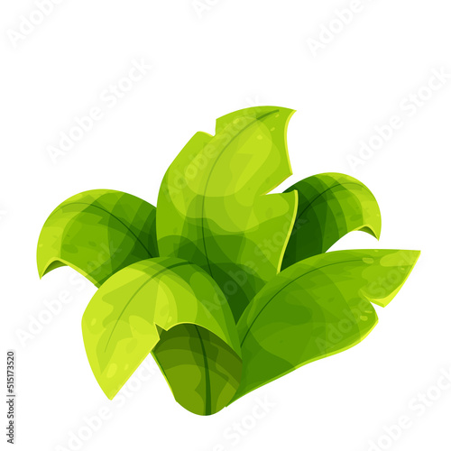 Tropical bush, jungle palm leaves in cartoon style isolated on white background. Green foliage, wild floral decoration. 