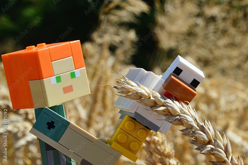 Naklejka premium LEGO Minecraft figure of Alexraising chicken to feed her with mature grains of wheat directly on sunlit agrcitultural field, summer daylight sunshine. 