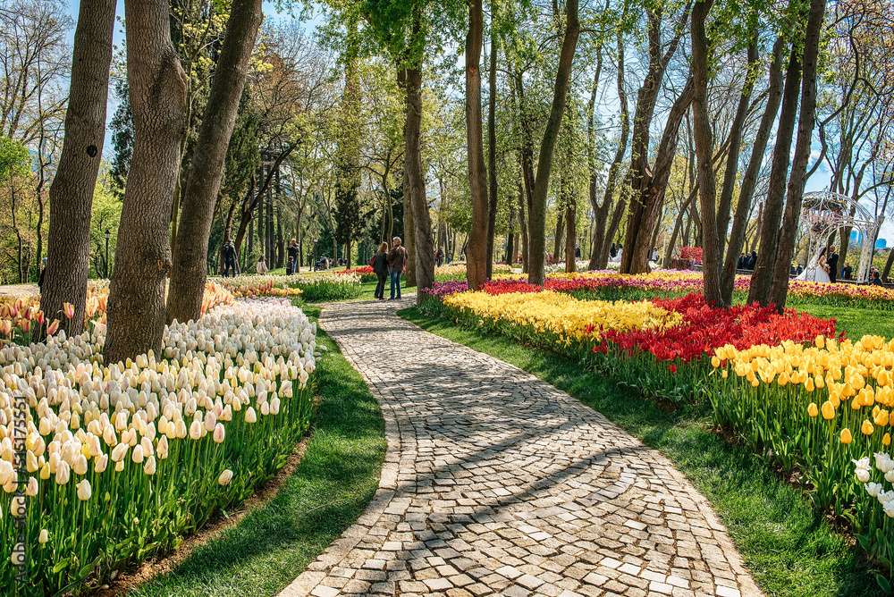 Emirgan Park, Istanbul