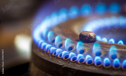 Blue flames on a domestic gas stove burner
