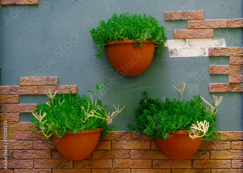 3 pots on a wall. green plants on vase.