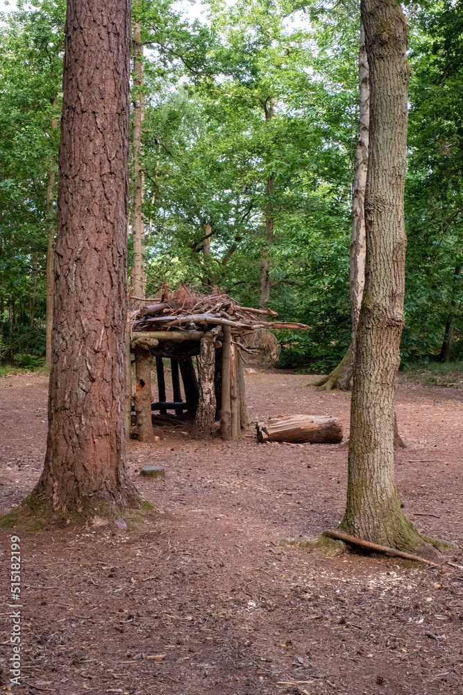 Woodland walk park at Whitley, Surrey Woodland walk park at Whitley, Surrey