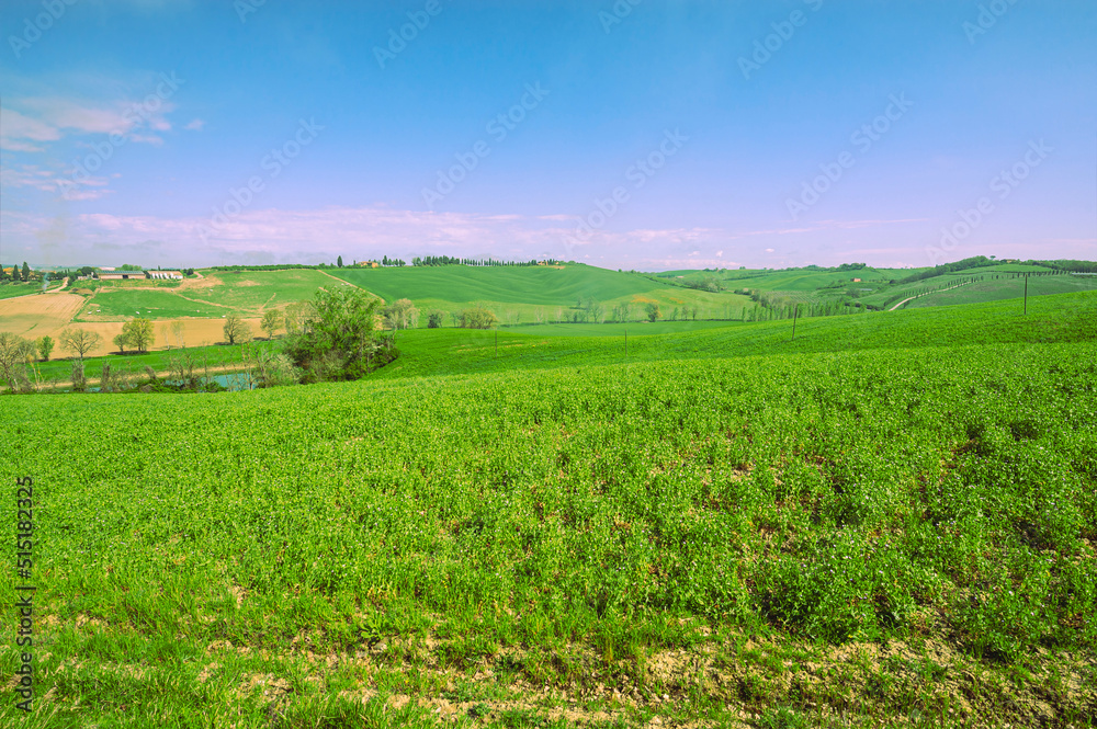 Green hills of Tuscany