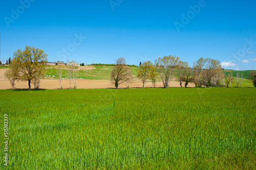 Green hills of Tuscany photo