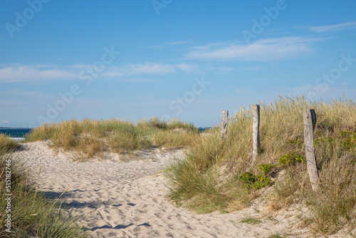 path in the sand dunes on Baltic Sea 