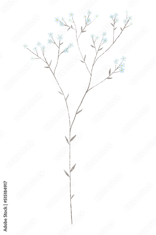 botanical illustartion with small blue flowers, branches and leaves