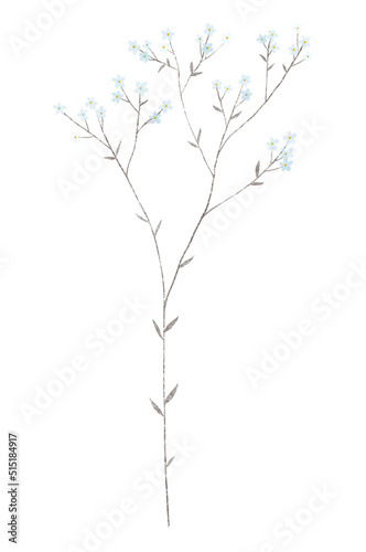 Fototapeta Naklejka Na Ścianę i Meble -  botanical illustartion with small blue flowers, branches and leaves