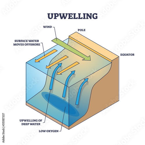 Upwelling as ocean deep water movement process explanation outline diagram. Labeled educational wind direction scheme for surface water moving to offshore and cold area rising vector illustration. photo