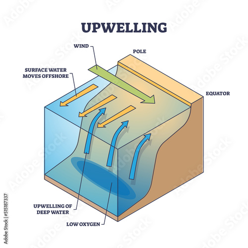 Upwelling as ocean deep water movement process explanation outline diagram. Labeled educational wind direction scheme for surface water moving to offshore and cold area rising vector illustration.