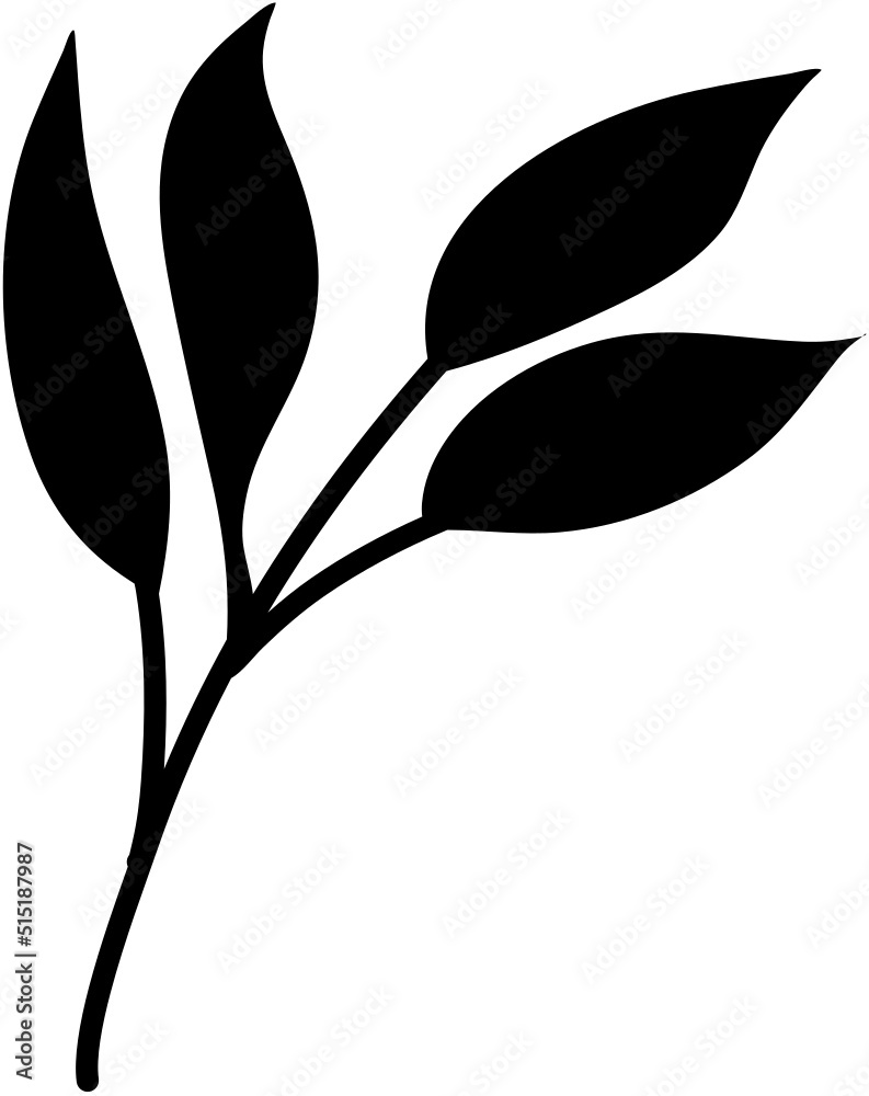 Obraz premium Leaves Line Art