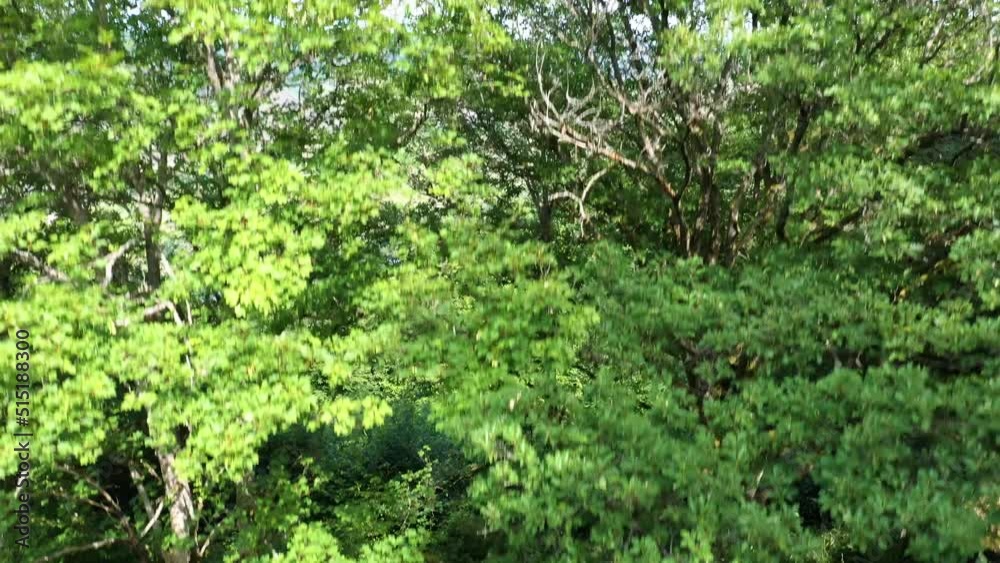 Video of Mosel loop near German village Bremm in Rhineland-Palatinate during daytime Video of Mosel loop near German village Bremm in Rhineland-Palatinate during daytime