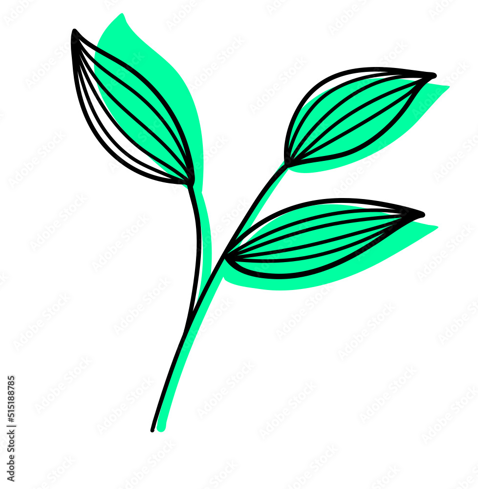 Obraz premium Leaves Plant Texture