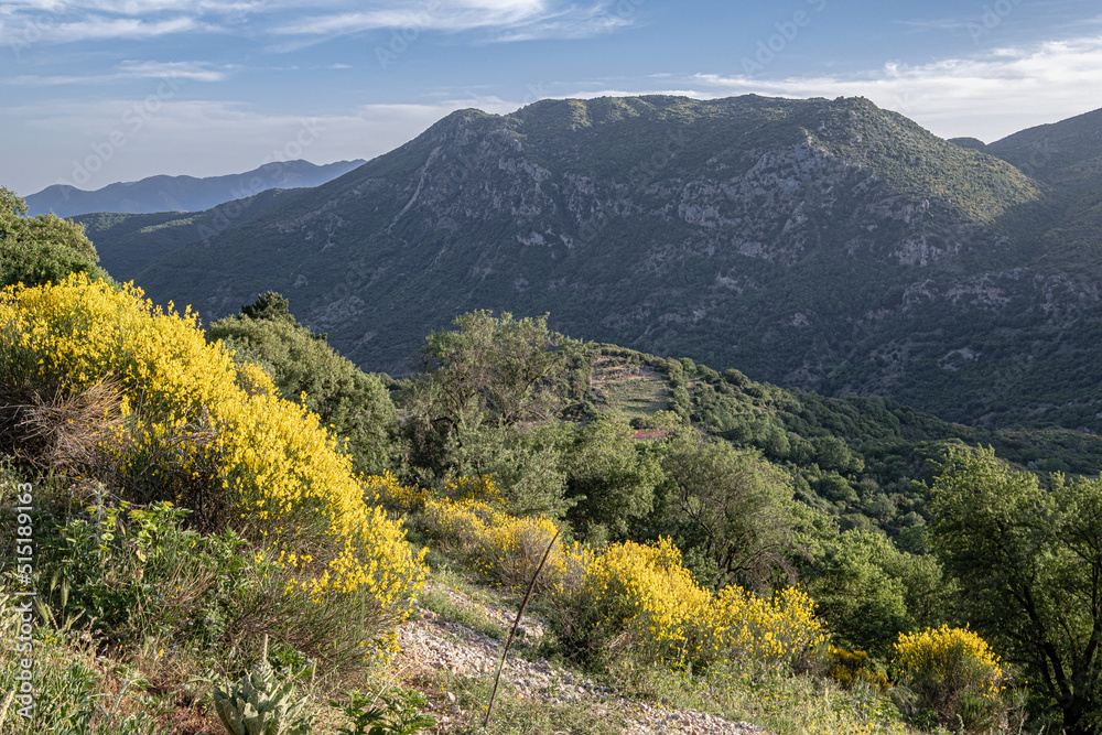 Fototapeta premium View from a street in Dimitsana, a picturesque mountain village, built like an amphitheatre, surrounded by mountain tops and pine tree forests, Arcadia region, central Peloponnes, Greece