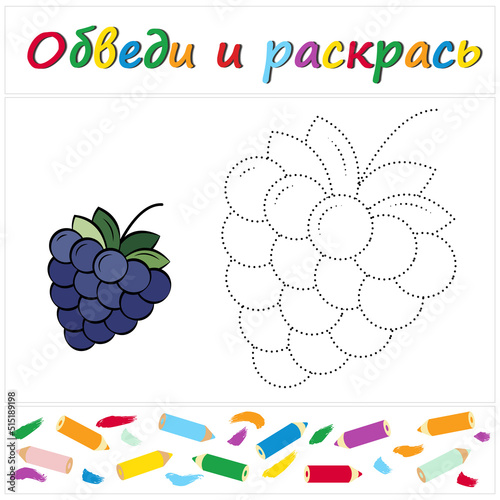 Blackberry. Task name "Trace and Color" in Russian. A page of a coloring book with a colorful berry. Repair the dotted line. Educational game. Cartoon style. Vector illustration for children, eps